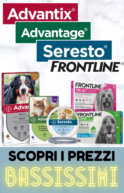 Promozioni
